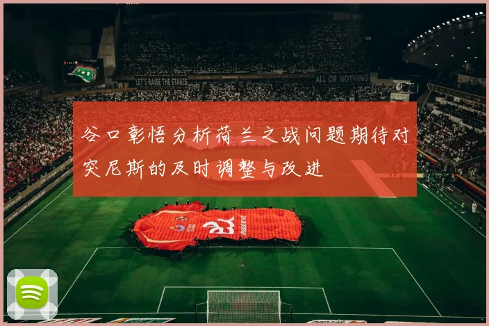 谷口彰悟分析荷兰之战问题期待对突尼斯的及时调整与改进